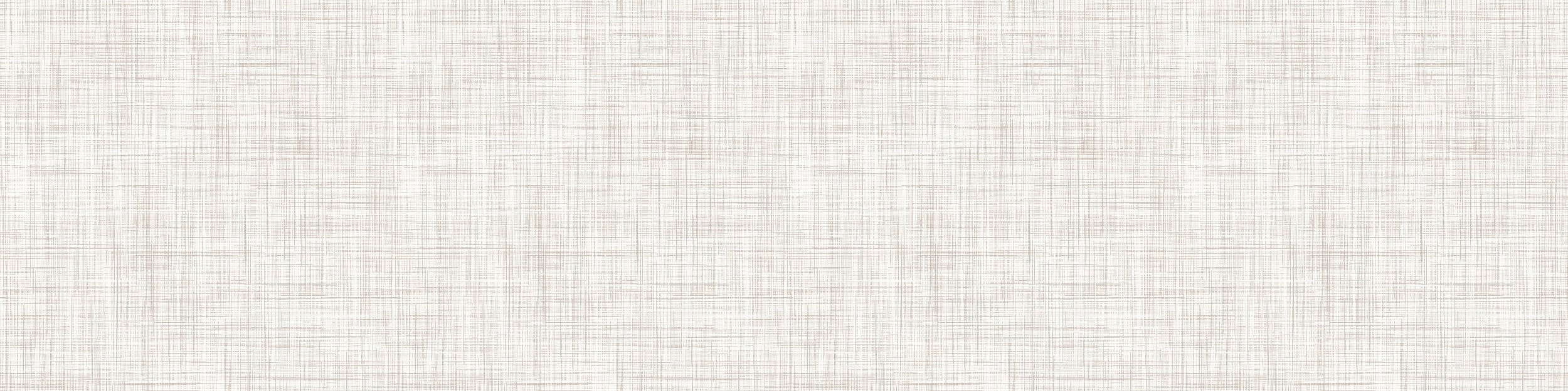 Light textured background with subtle lines.